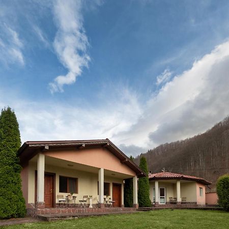 Вили Тихия Кът Ribaritsa Exterior foto